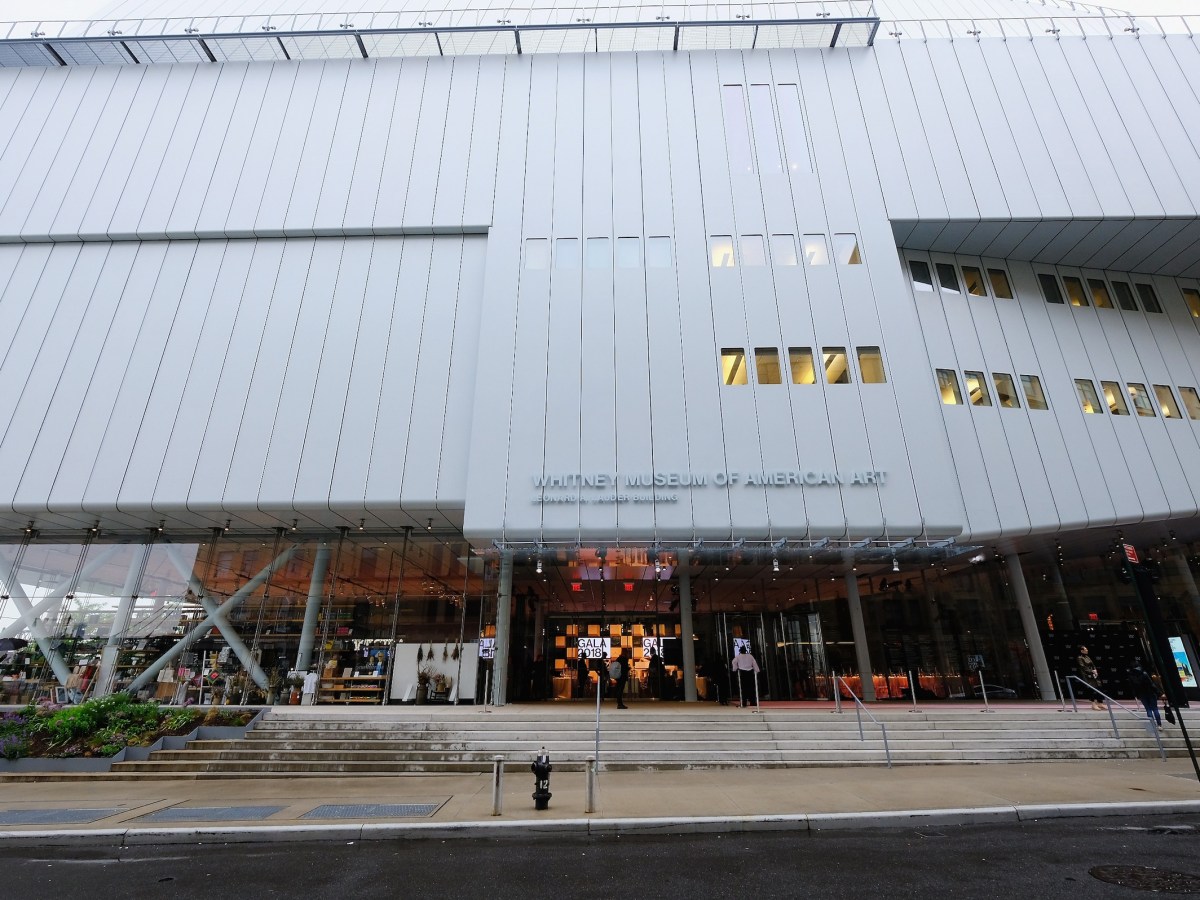 Man Dies in Whitney Museum Fall
